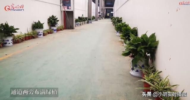 新冠肺炎百万治疗费曝光：我庆幸，生在了中国