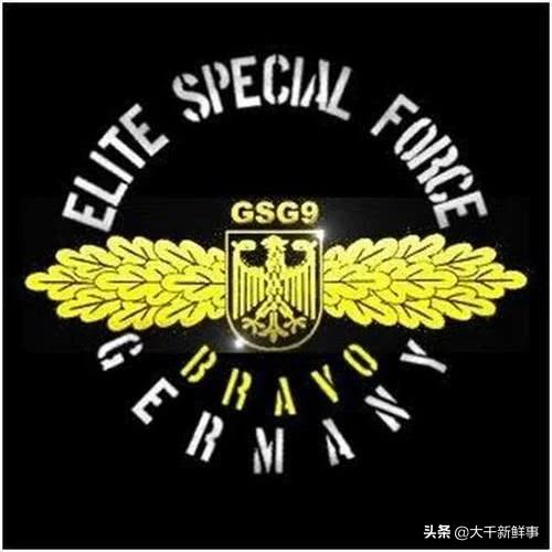 世界十大，不不不！是十支特种作战力量图赏