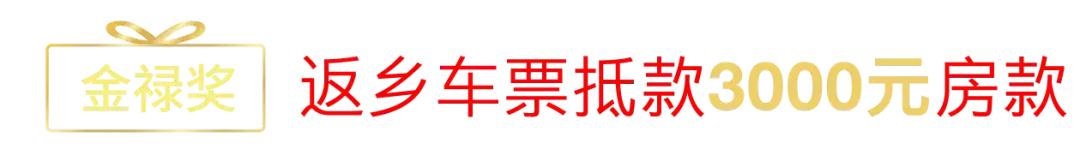 金科礼悦东方二手房92万,荣昌金科礼悦东方高层户型图
