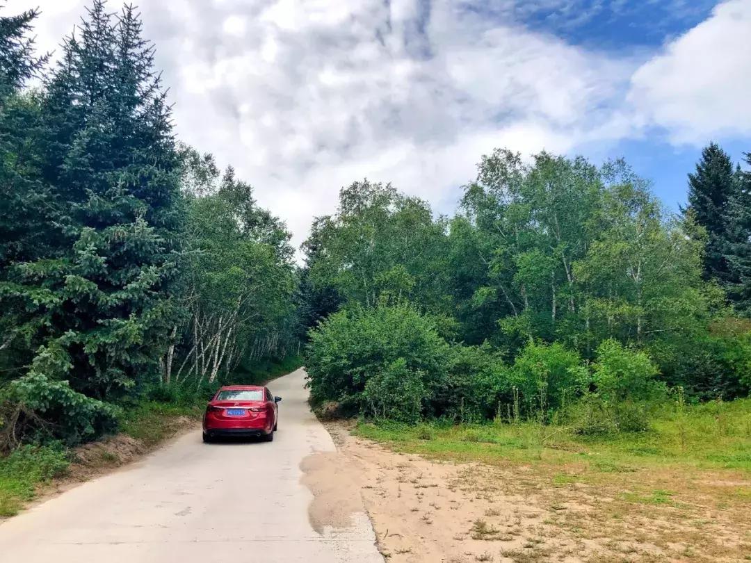 丰宁千松坝秋色,天凉好个秋拍摄