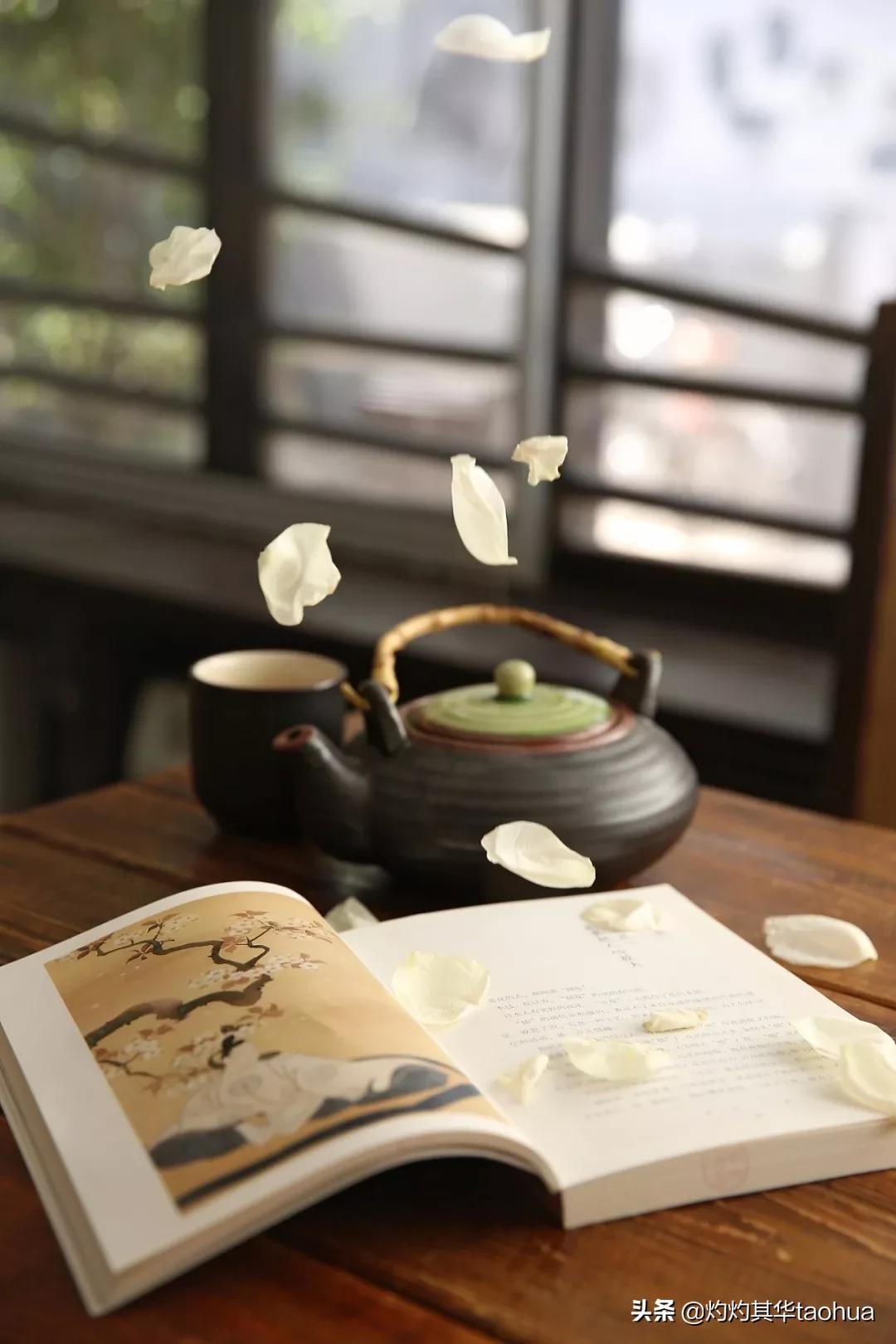 中文到底有多美这篇文章告诉你,中文到底有多美原文