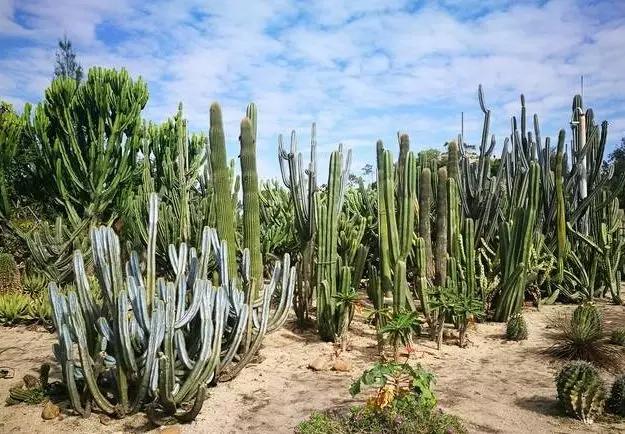 去厦门吹海风,来去厦门观光享受清凉的海风
