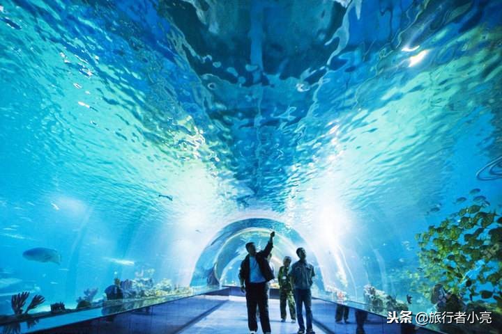 天津旅游必去十大景点推荐理由,天津旅游必去十大景点排行榜