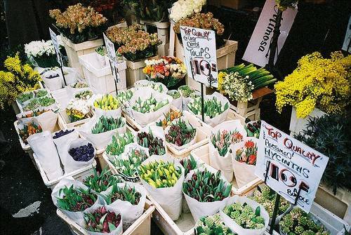 何其幸运开一家属于自己的花店,开了一家属于自己的花店