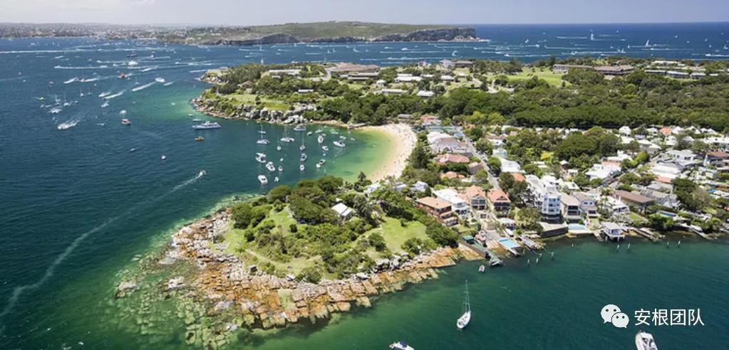 澳大利亚有什么茶,澳大利亚的冰岛茶