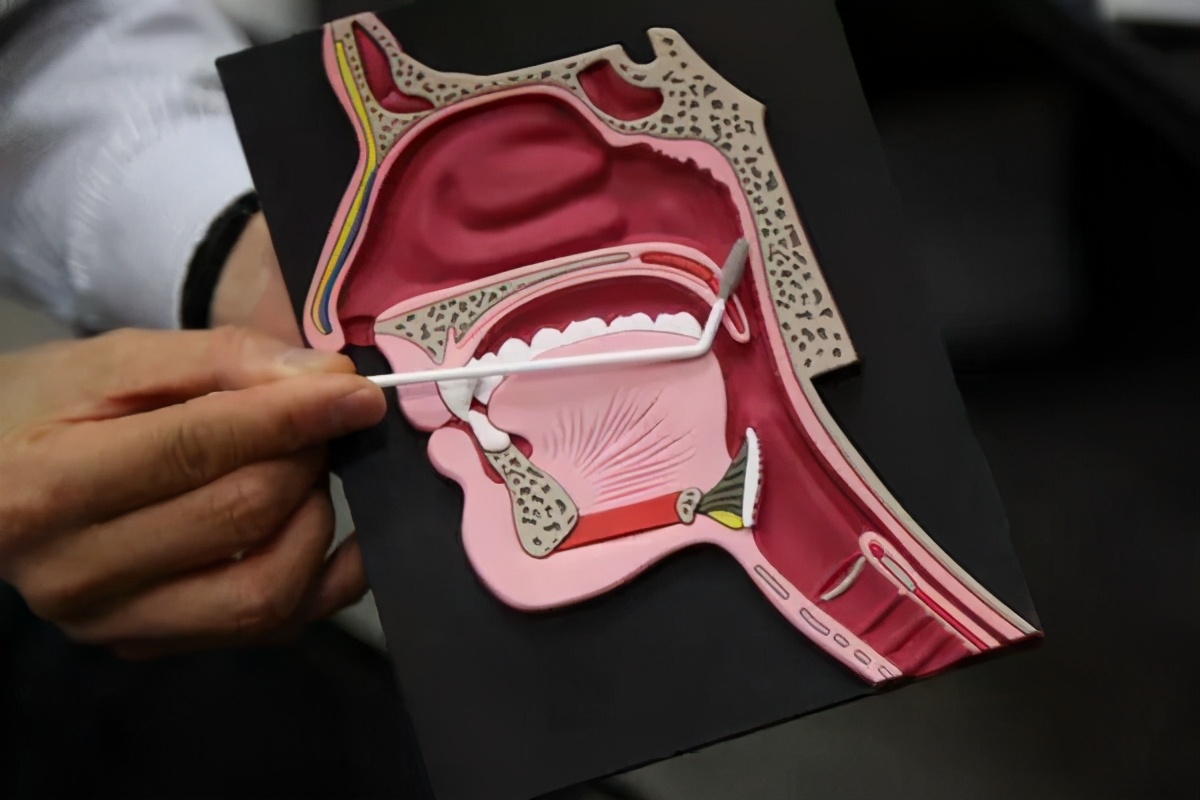 牛黄解毒片真的能清热解毒,牛黄解毒片还可以治六种病