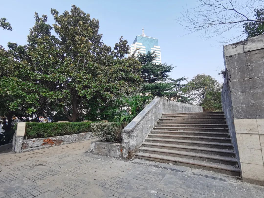 二十年后重游故地视频,时隔20年故地重游老家