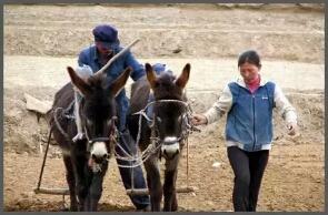 山海情德宝口音,山海情德福讲话