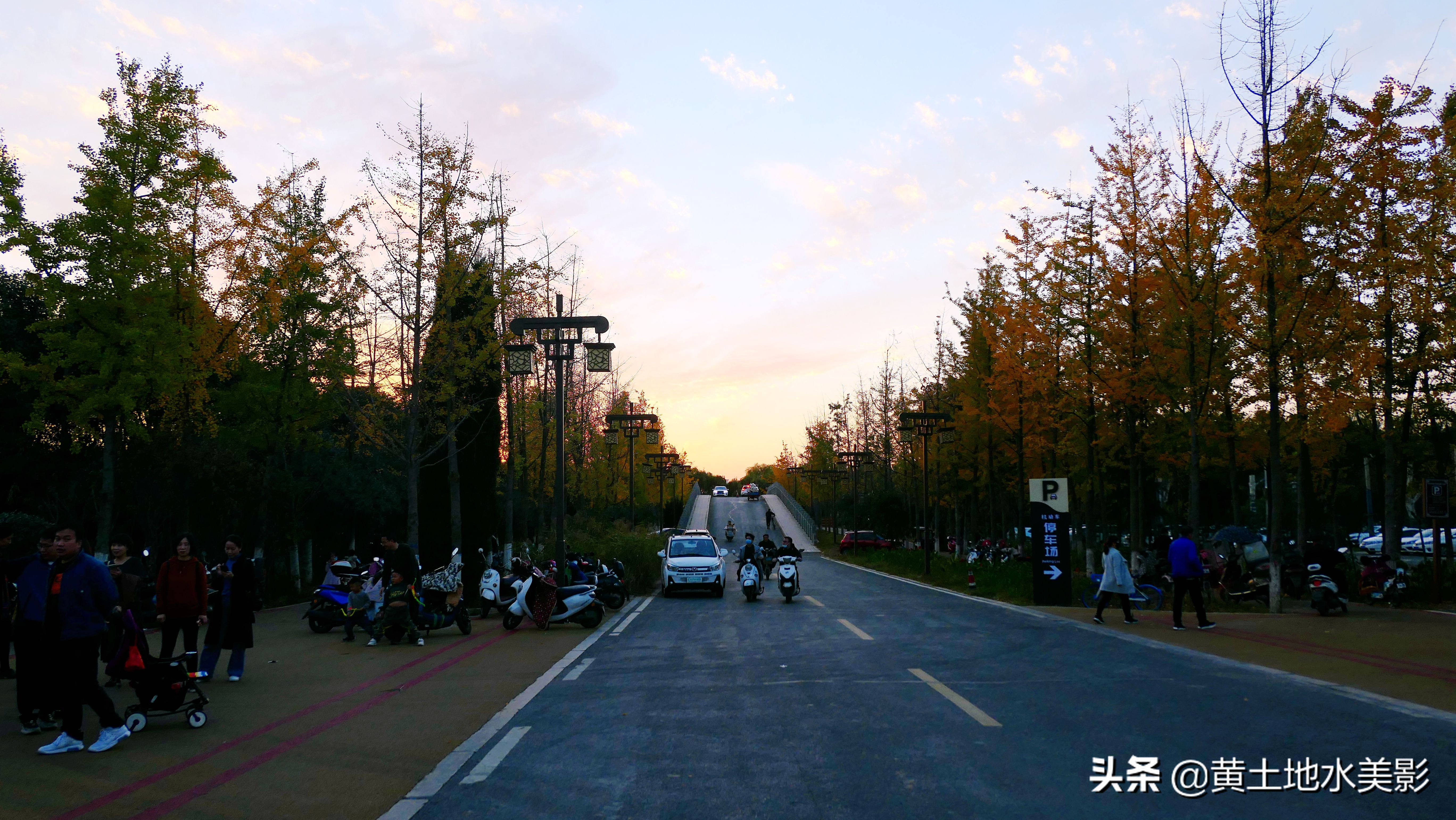 免费游玩东湖公园攻略,游玩国家湿地野鸭湖