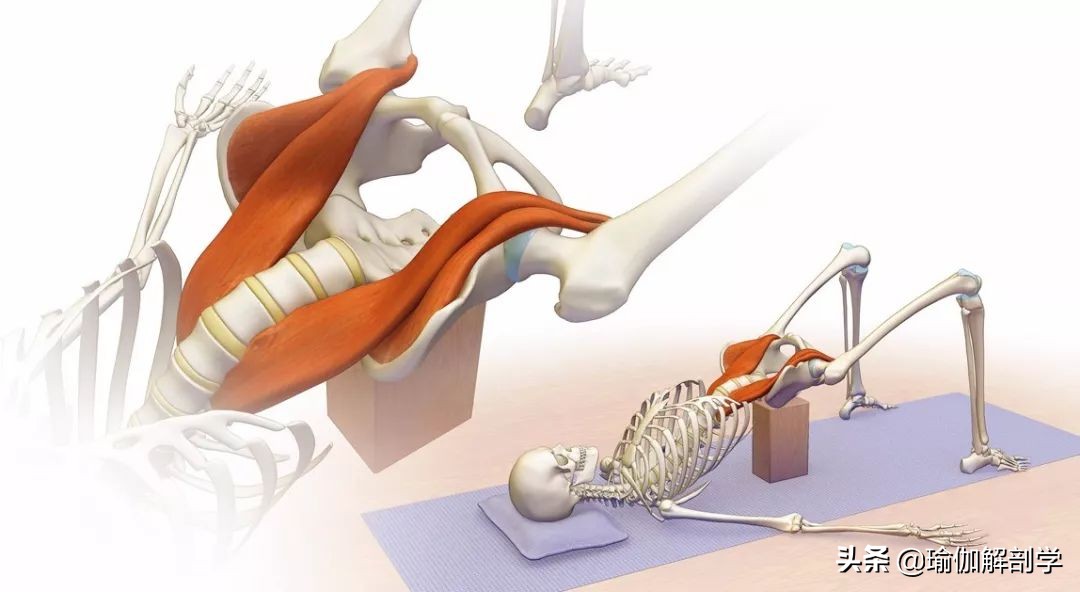 拉伸髂腰肌的瑜伽体式,久坐的人如何拉伸髂腰肌