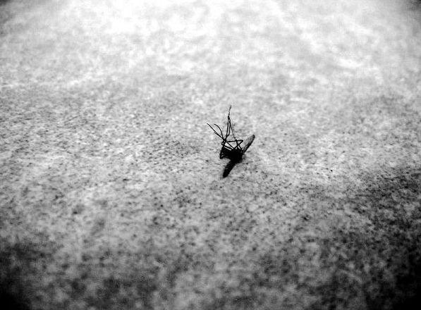 某宝上的奇葩手机,某宝上竟然有这些奇葩产品