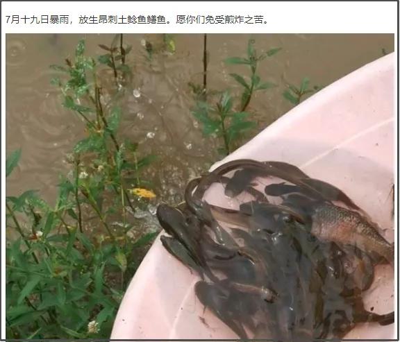 贴吧上的奇葩事,贴吧遇到各种奇葩事