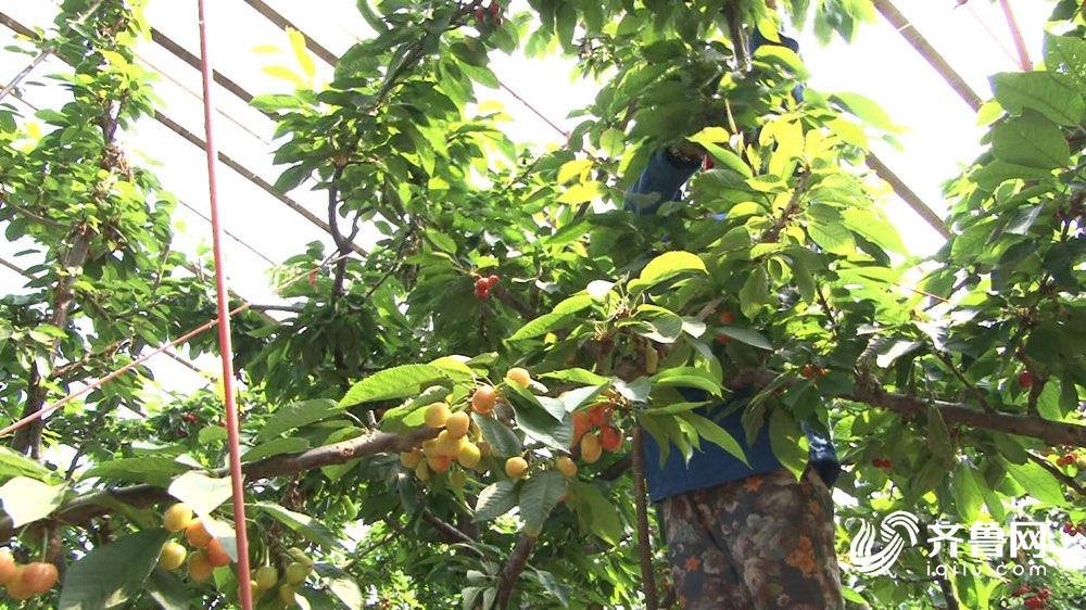 农贸市场食品安全公示栏,2020年食品安全示范城市名单