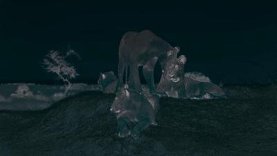 夜半*拍偷**下,成就今年第一部神级纪录片:黑暗下的生命,超乎想象