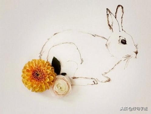 简短签名有深意有内涵,经典签名一句话哲理