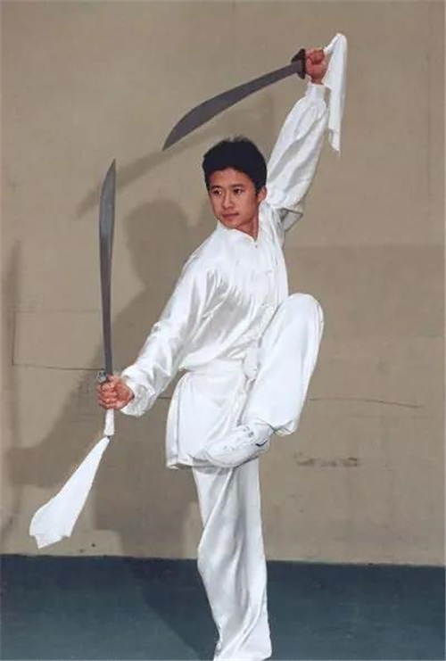 中国武术冠军吴京,吴京成为中国电影票房第一人