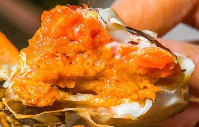 买螃蟹怎么挑选肥的,如何挑选螃蟹注意事项