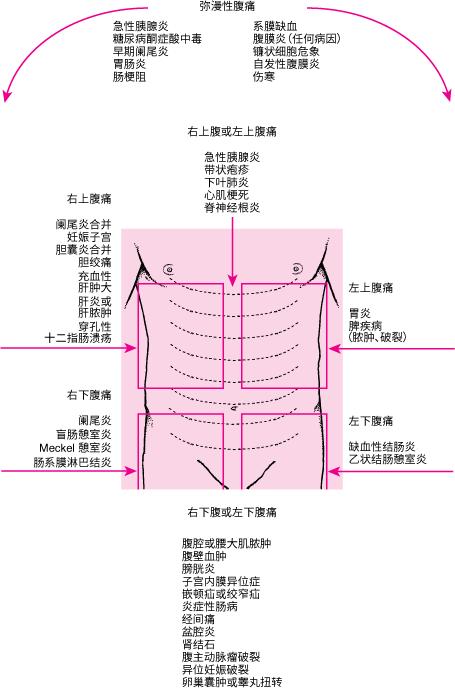 急性腹痛的八大病因,急性肠胃炎腹痛吃什么药缓解