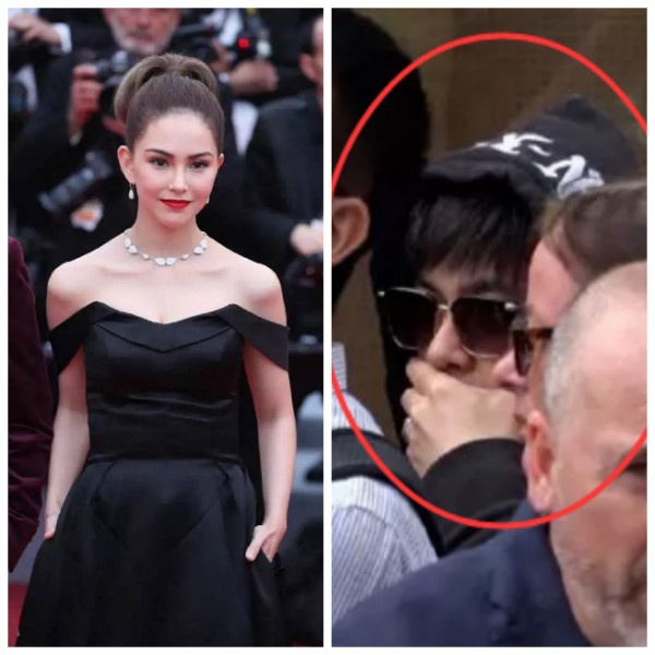 戛纳红毯惊艳时刻范冰冰,戛纳红毯多位网红