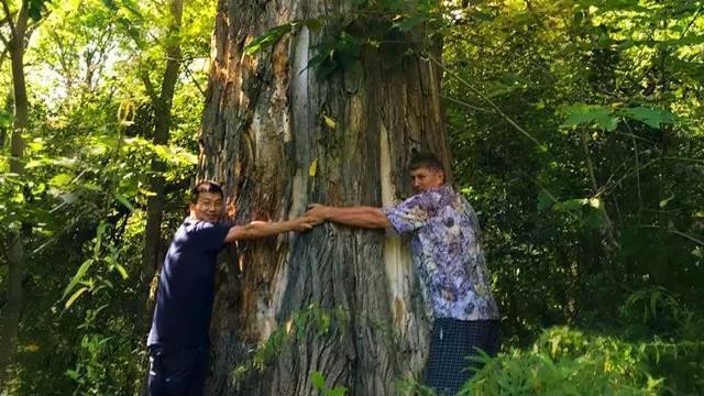 《扫黑风暴》中这瓶蜂蜜太抢镜，背后也藏7年“打假秘诀”