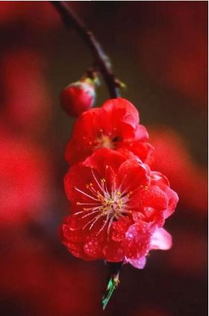 寄情于山水之间的唯美古诗词,寄情山水悠闲自得的诗词