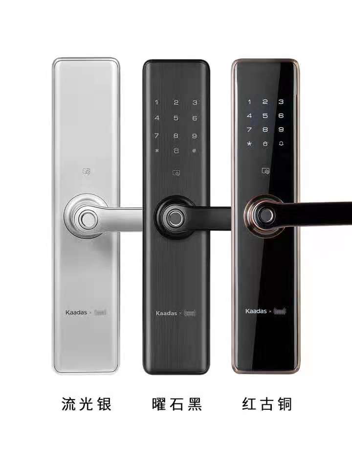 智能锁十大品牌排行榜最新,凯迪仕智能锁是十大品牌吗
