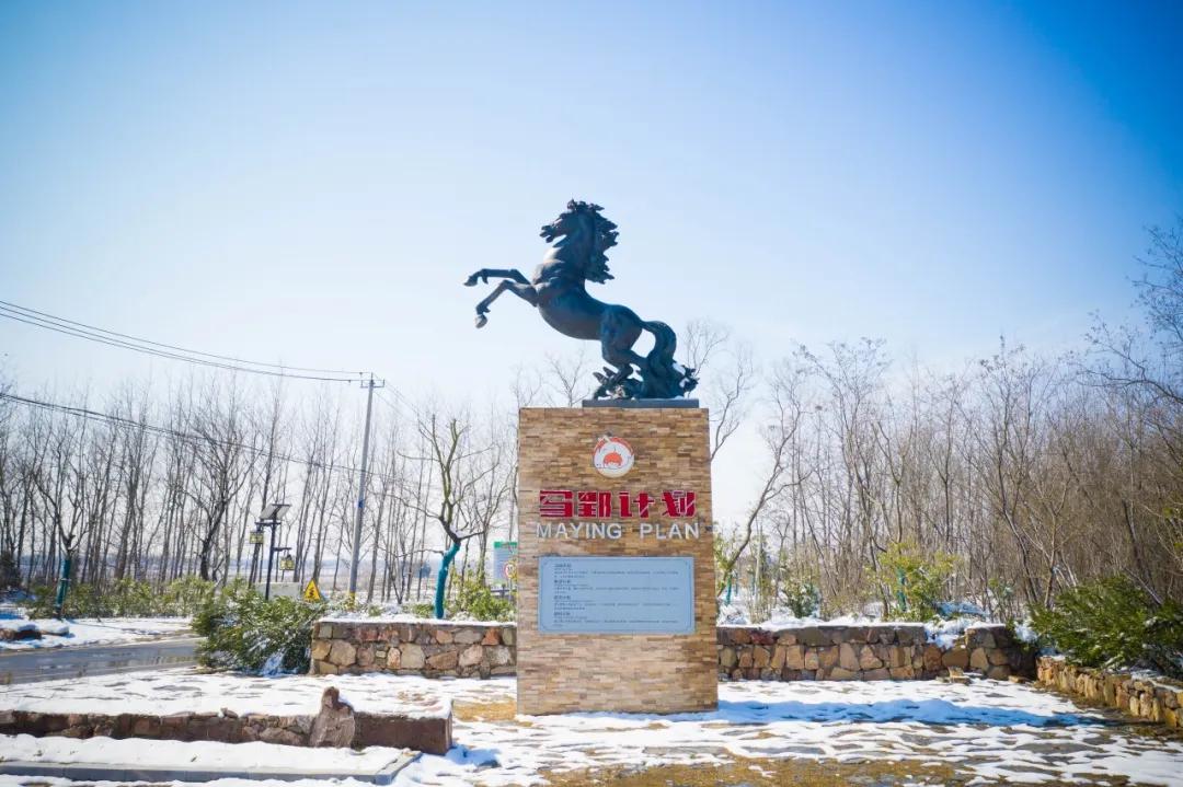 合肥非物质文化遗产园玻璃桥门票,合肥十大必去景点20元门票