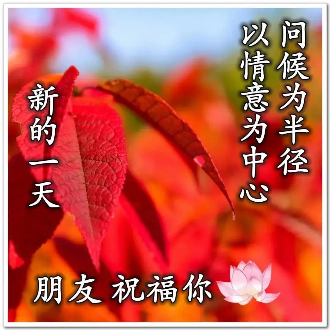 周一早上好祝福问候语最新版多图,周一早上好最新图片问候语