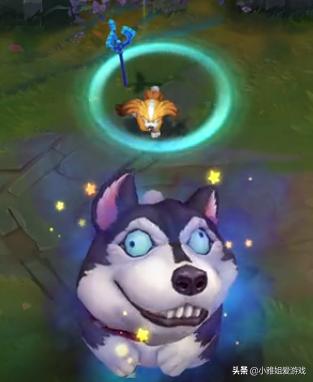 英雄联盟狮子狗下一个新皮肤,英雄联盟最新狮子狗和螳螂彩蛋
