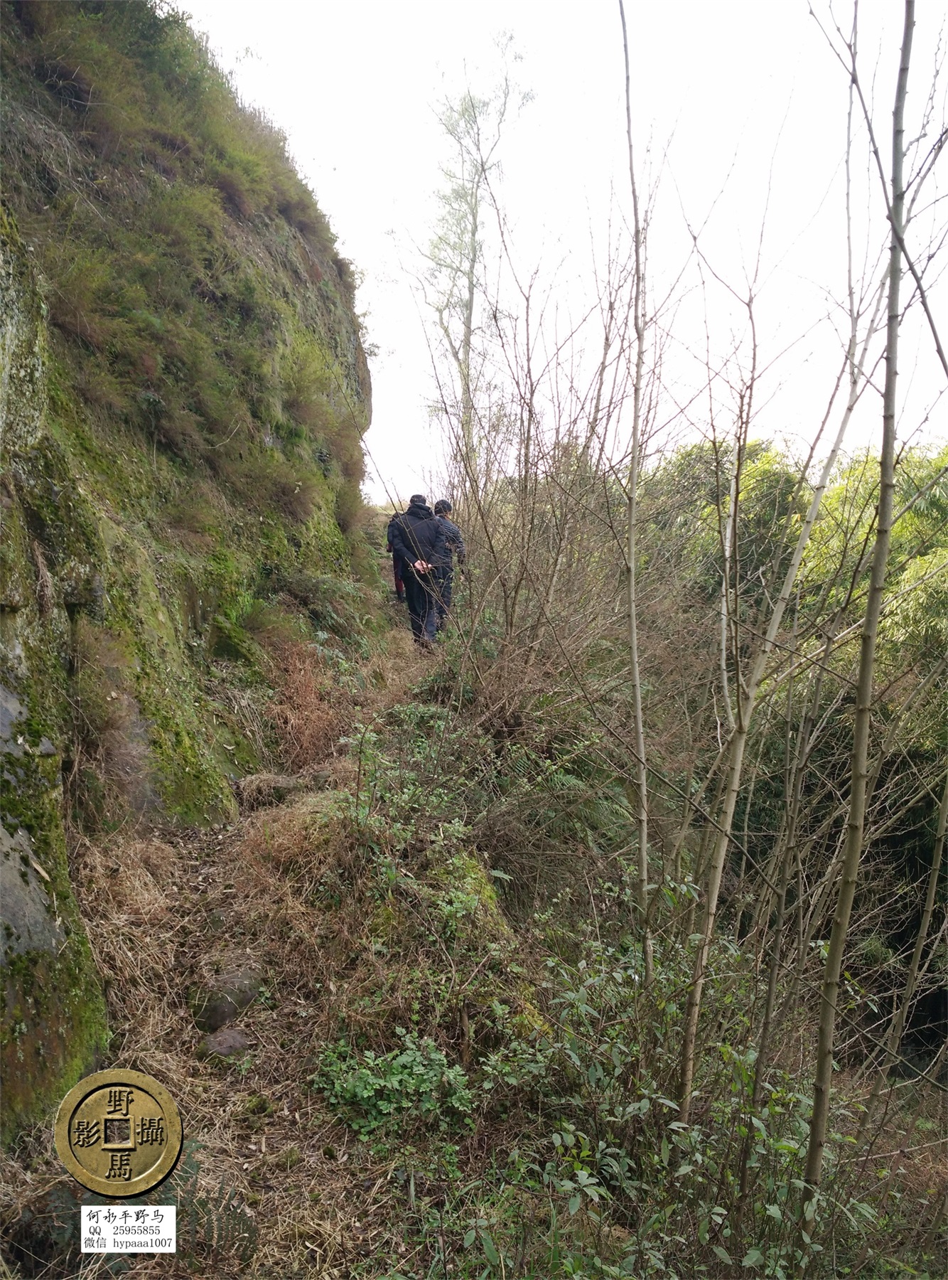 广安撤县名单查询,70年广安县有多少个人民公社