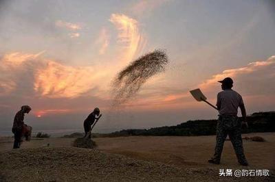 回忆离休干部父亲,回忆共产党员的父亲