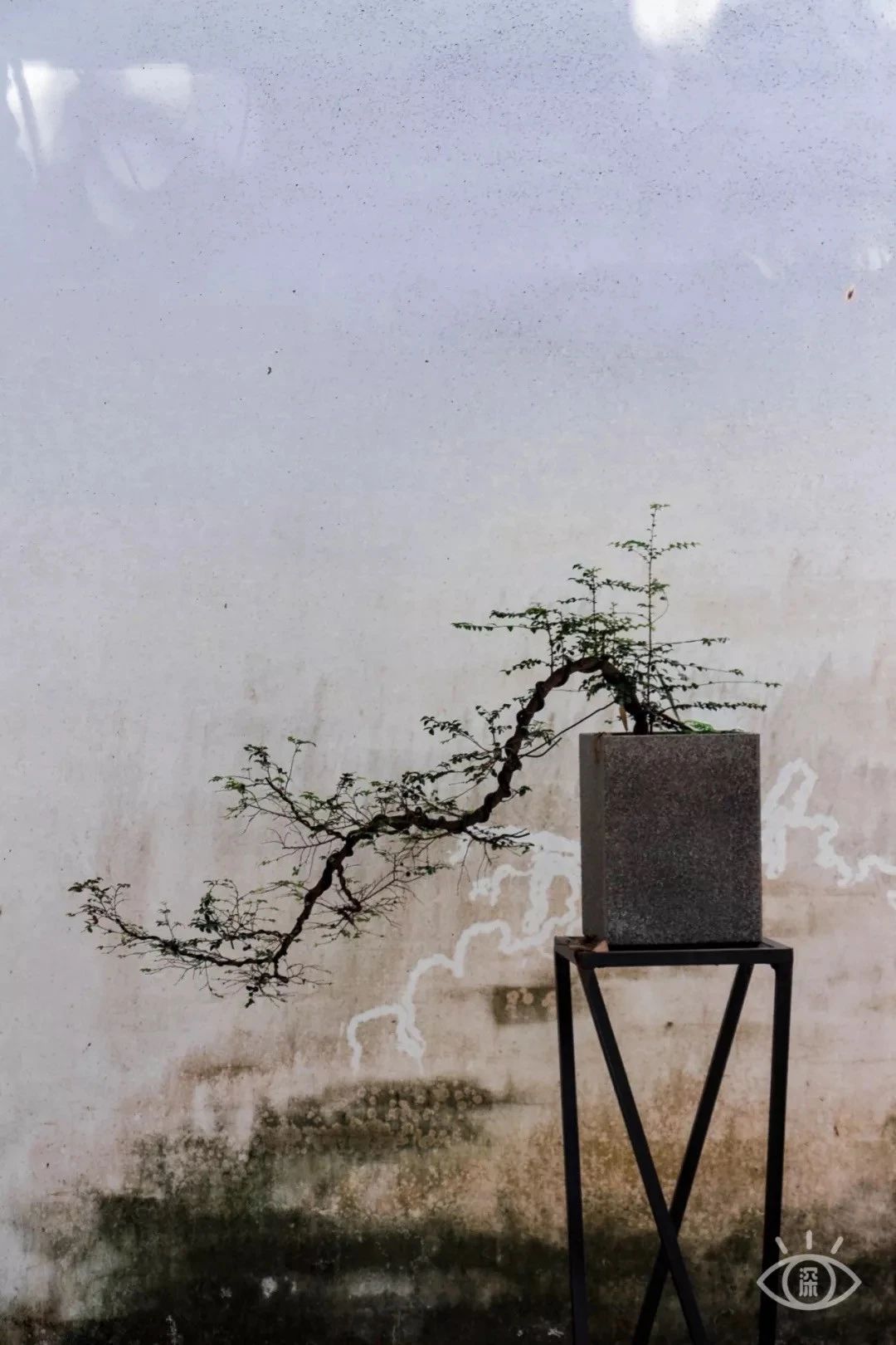 深圳的一处热门古风拍摄地,深圳古风拍照景点推荐