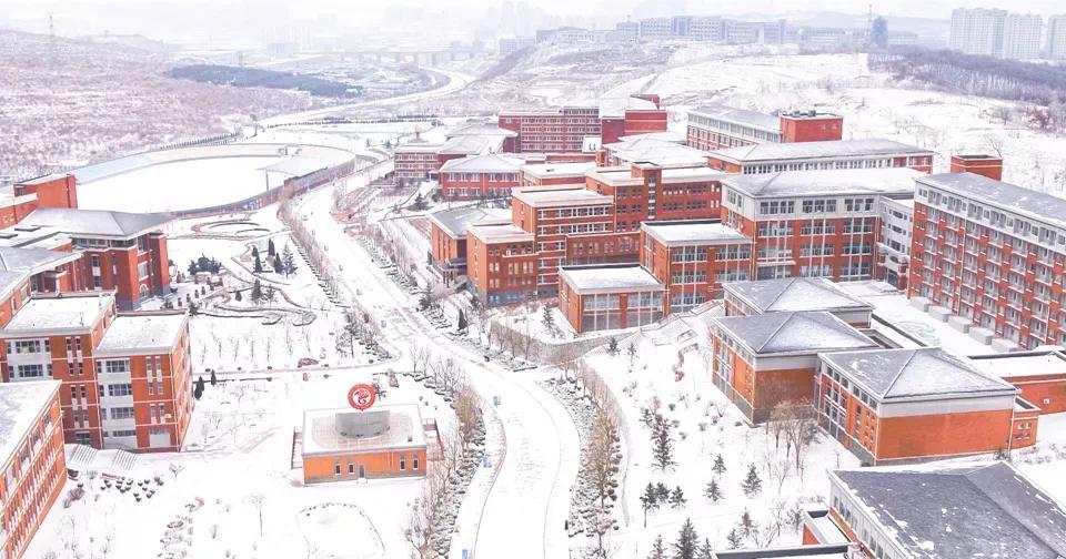 民办学校大连艺术学院全国排名,大连艺术学院辽宁排名