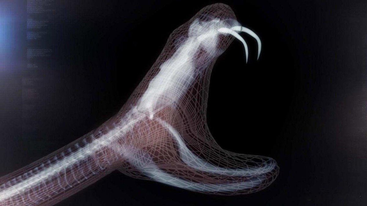 好心奶奶救下蛇20年后,男子救下一条小蛇20年后来报恩