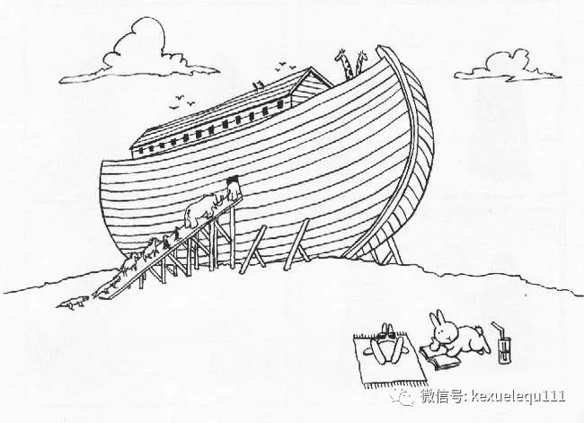 杀死兔子的方法,杀死兔子有什么后果