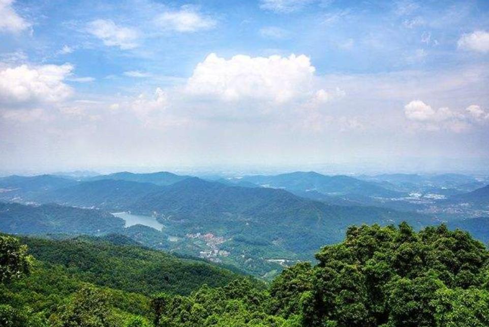 广州帽峰山红枫园在哪个门进,广州帽峰山的枫叶最佳观赏期