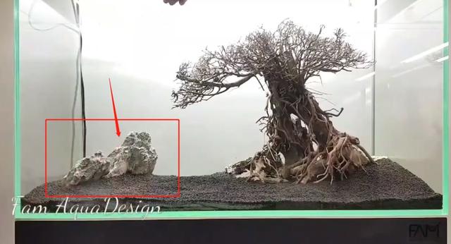 莫斯树到底好不好,莫斯树是什么