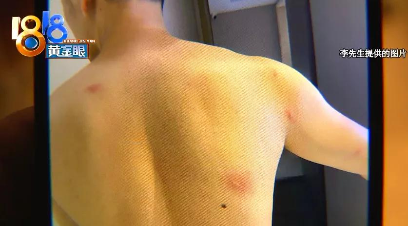 半夜床上发现一只蟑螂,半夜房间发现一个很大的蟑螂