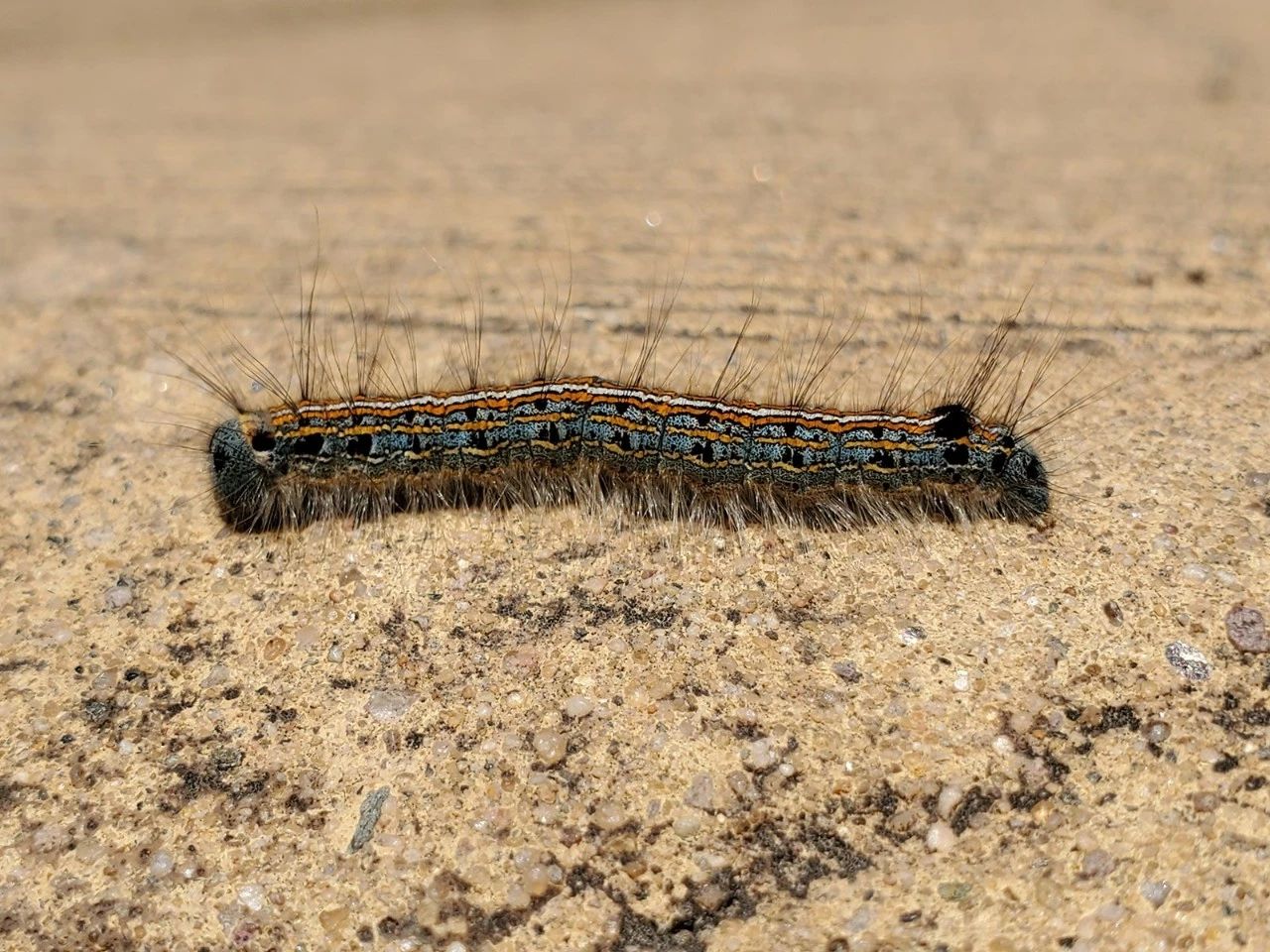 三星s10+全面测评,三星s10+国行上手测评