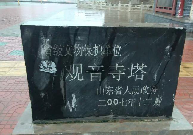 奇怪的古塔燕子----“严冬不南迁，有足不成行”