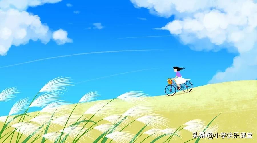 作文有关夏天的好词好句,关于夏天的作文500字左右六年级