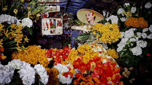 有一种爱叫纪梵希与赫本,世纪之恋dior香水