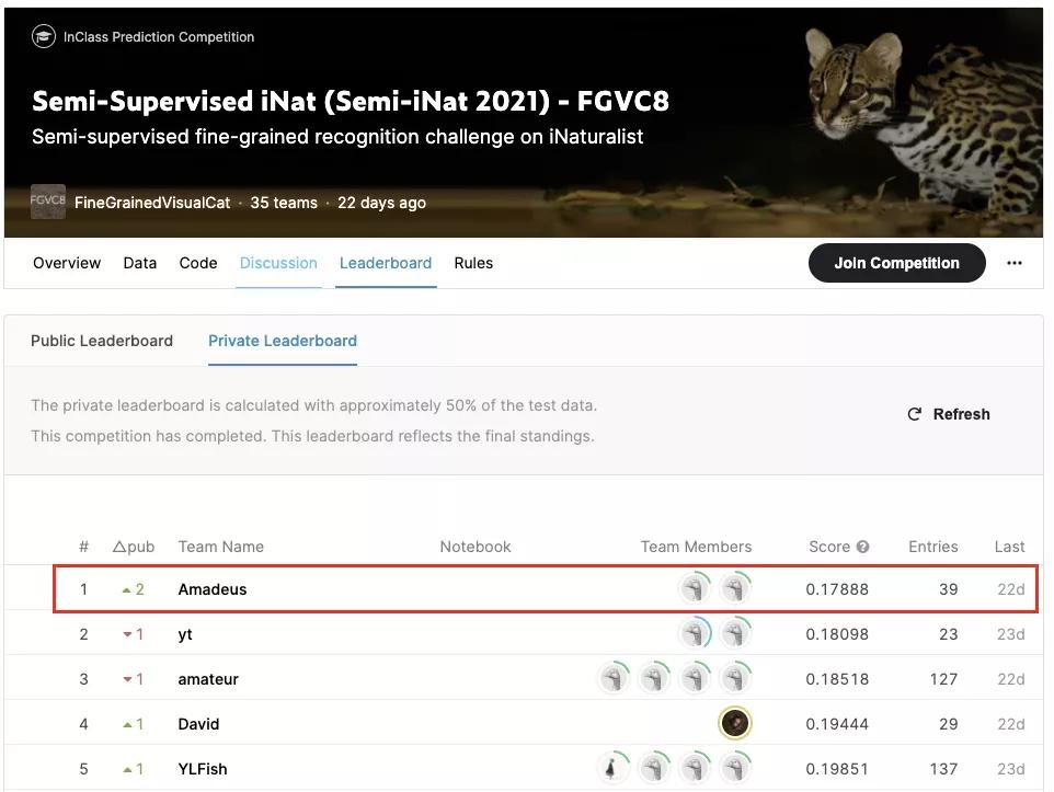 字节跳动组织深度解析,字节跳动2020csr报告