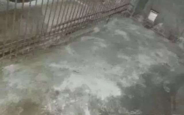 收藏｜史上最全的非洲猪瘟复养方案