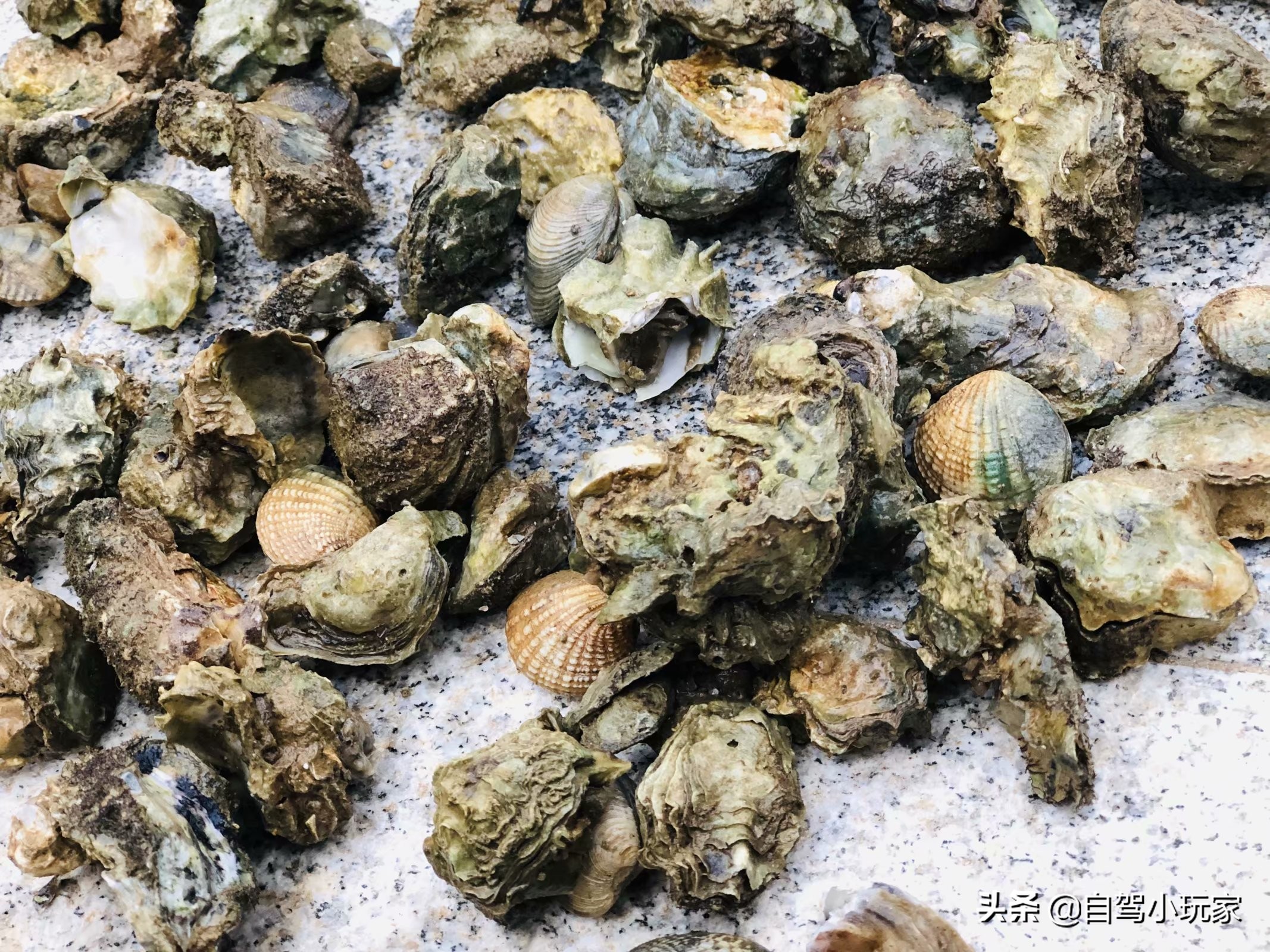 深圳附近很小众地方,深圳大鹏小众旅游景点