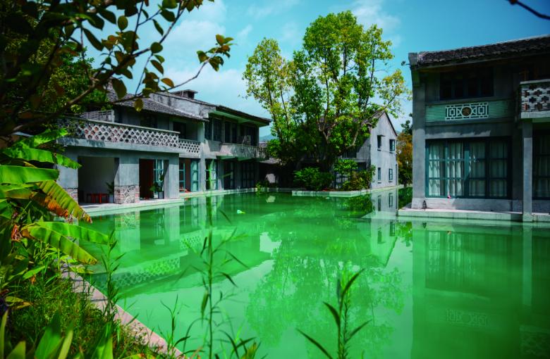 “四乡融合”富山根！水乡古村蝶变音乐艺术小村，村民户均资产增值超过500万元