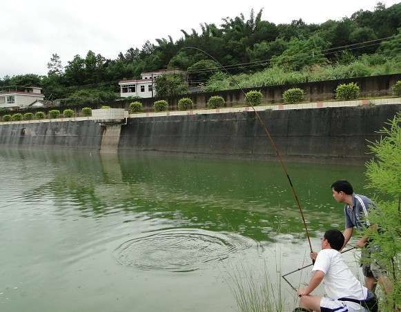 广东钓土鲮鱼用多大的子线和钩子,南宁用什么饵料钓土鲮