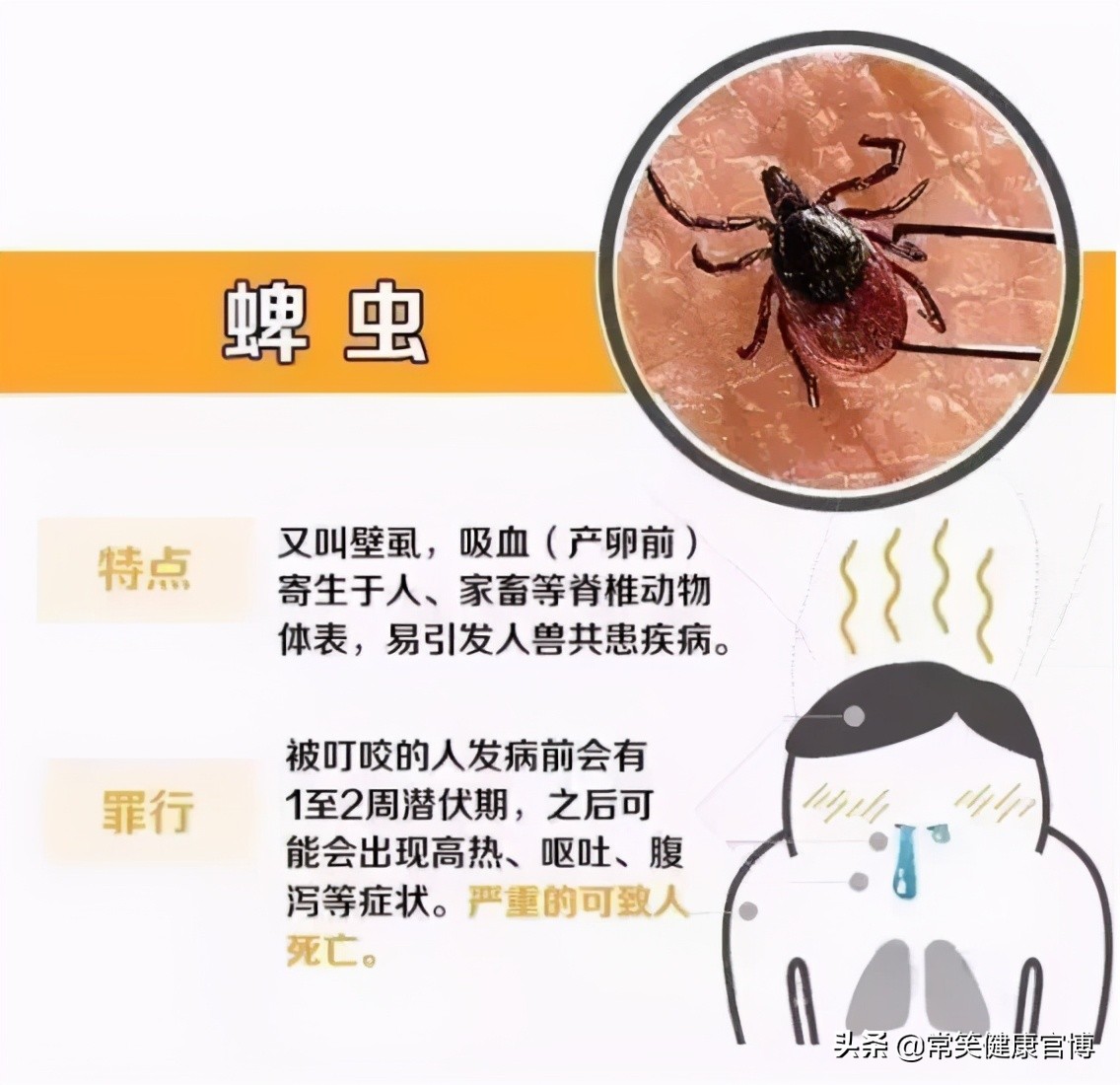 夏季蚊虫肆虐谨防虫咬皮炎,蚊虫痒怎么办快速止痒小妙招