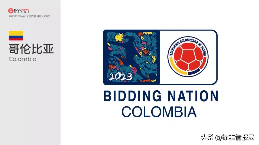 申办2023女足世界杯,女足世界杯申办城市