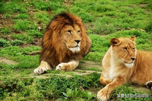 7岁孩子性好奇要怎么引导教育,孩子对性好奇怎么教育